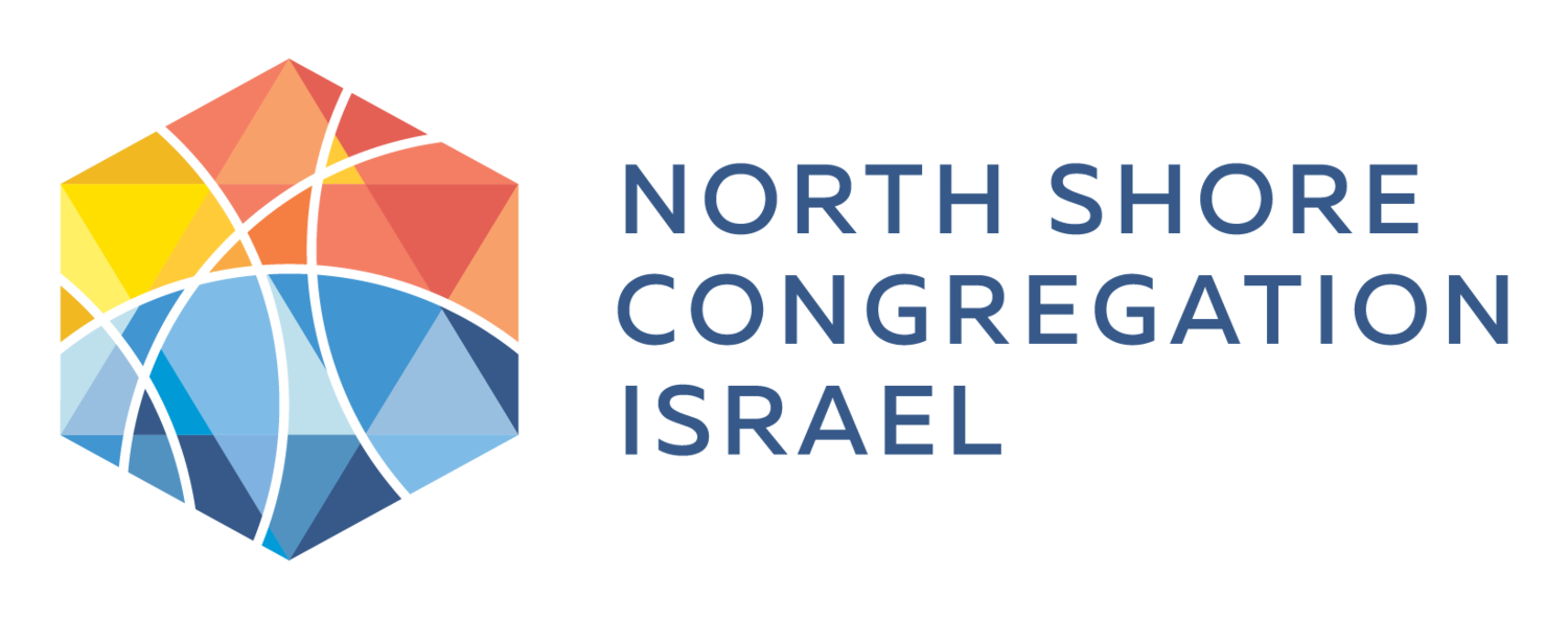 NSCI_Logo_Horizontal_RGB_LinesTRANSPARENT_HiRes